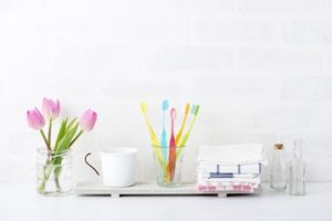 プラークのことを詳しく知ろう！