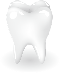 歯科とサプリメント