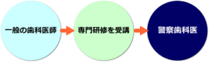 警察歯科医ってなに？～歯科情報からわかる身元情報～